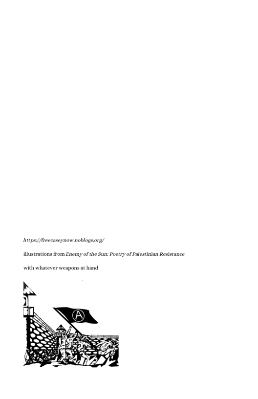 illustrations from Enemy of the Sun: Poetry of Palestnian Resistance with whatever weapons at hand